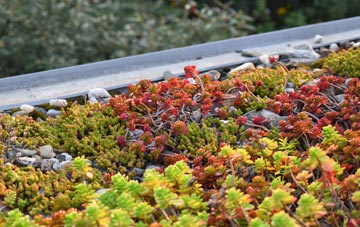 the cost of Staplegrove green roof installation