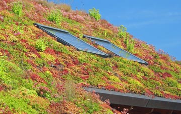 Staplegrove living roof systems