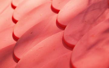 Staplegrove plastic roof costs