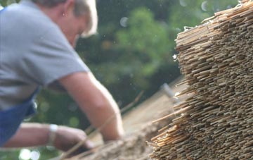 professional Staplegrove thatchers