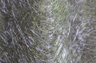 Staplegrove fibreglass roof work